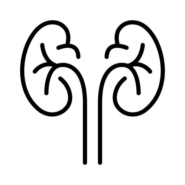 Hypertensive Kidney Disease